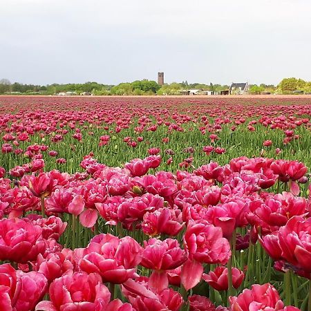 Bed En Breakfast En Bike Sommelsdijk Экстерьер фото