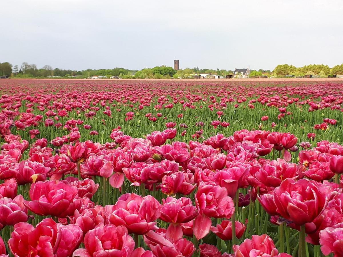 Bed En Breakfast En Bike Sommelsdijk Экстерьер фото